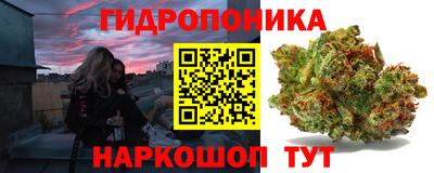 прущие крисы Тверь
