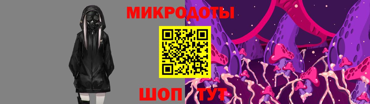 Псилоцибиновые грибы Psilocybe  Вход с VPN  Галлюциногенные грибы Psilocybe  Миллерово 